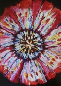 Poetry Meets Art at this February 5 event that features a conversation between local poet and local artist Poetry Meets Art at this February 5 event that features a conversation between local poet and local artist