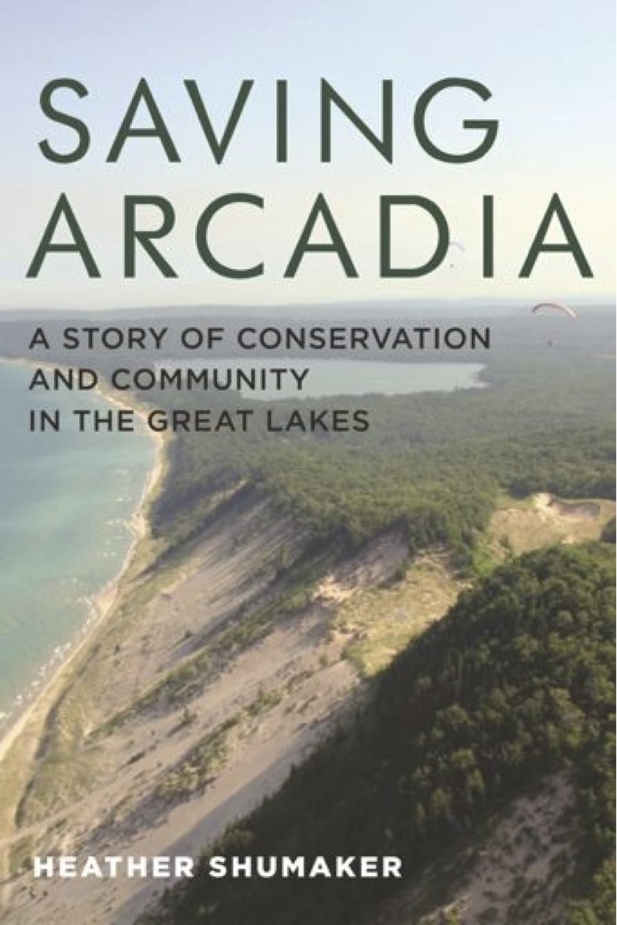 Saving Arcadia cover