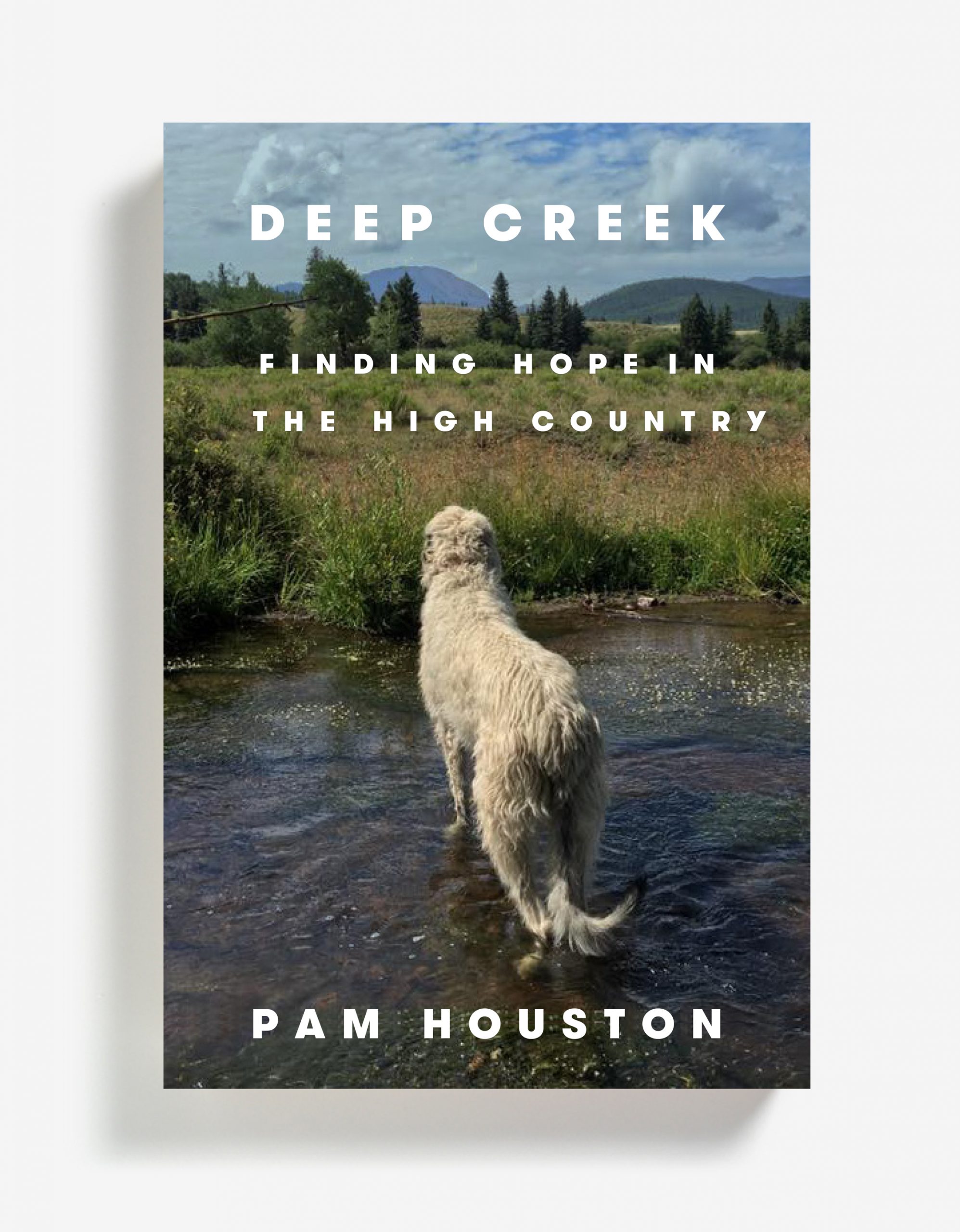 Deep Creek: Finding Hope in the High Country (Paperback)