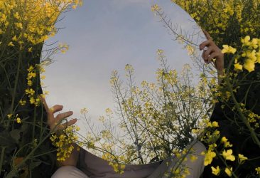 pexels-alex-flavius-458089448-22699774