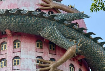 pexels-vera-3256391-31075853